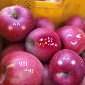 땀내기농원 양광 5kg(13과)