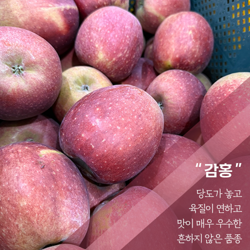 땀내기농원 감홍 5kg(14과)